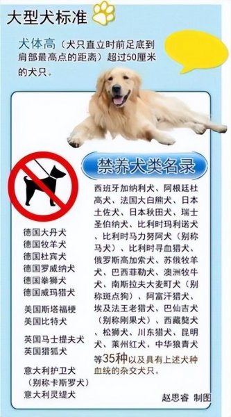 烈性犬禁养名单介绍