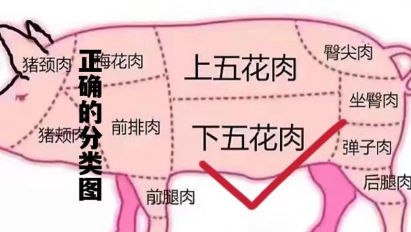 夹心肉和五花肉哪个好吃