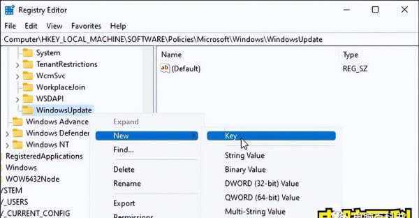 windows11关闭自动更新关闭方法