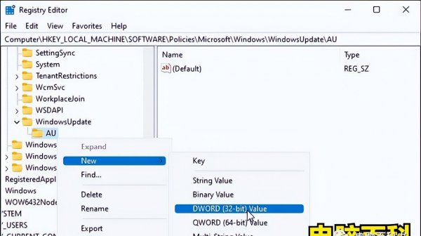 windows11关闭自动更新关闭方法