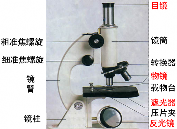 显微镜各部分名称及作用