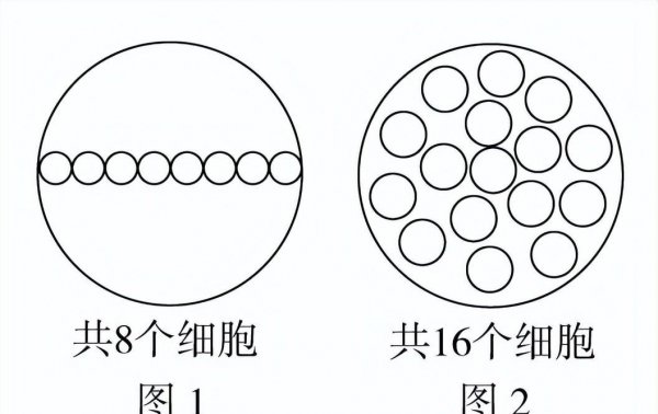 显微镜各部分名称及作用