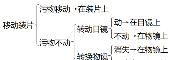 显微镜各部分名称及作用