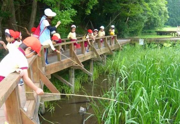 日本人为什么不吃小龙虾的原因