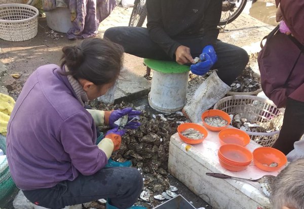 海蛎子和生蚝的区别