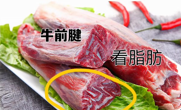 牛腱子肉是哪里的肉