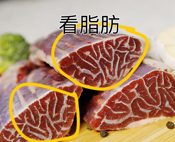 牛腱子肉是哪裡的肉