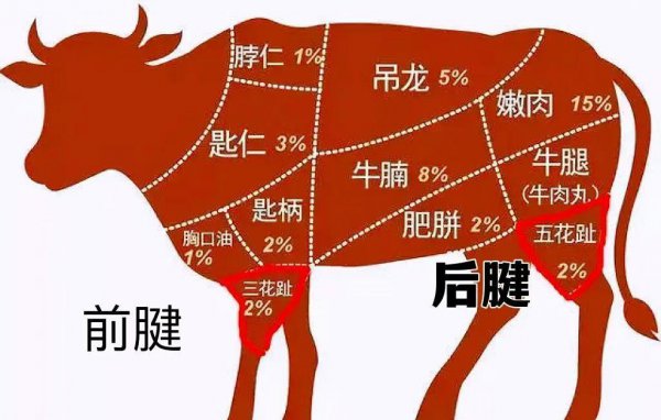 牛腱子肉是哪里的肉