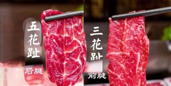 牛腱子肉是哪里的肉