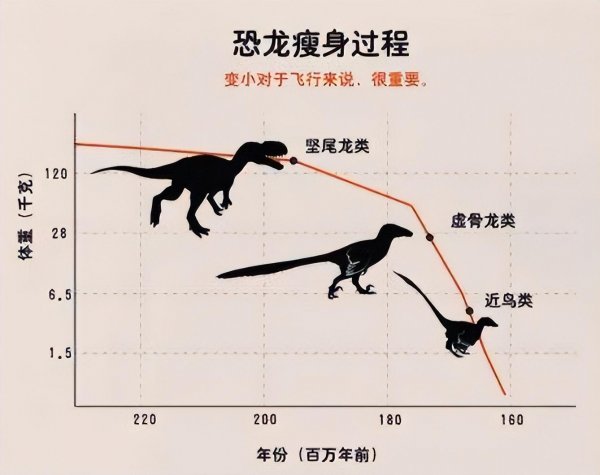 恐龙和鸡的关系