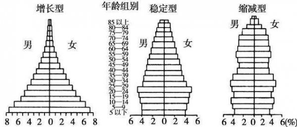 人口金字塔的三种类型及影响