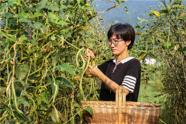 新农人是什么意思