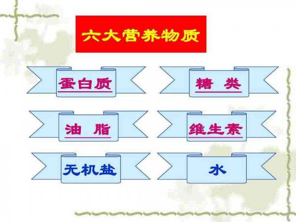 纯净水好还是矿泉水好