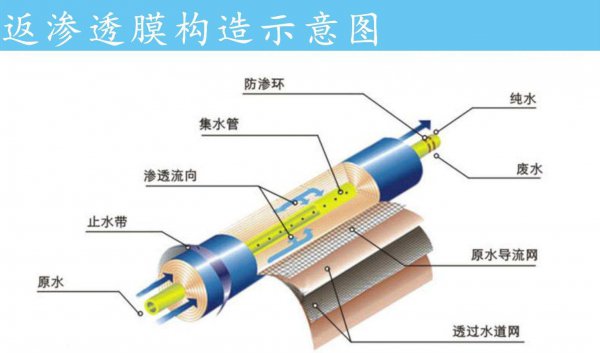 纯净水好还是矿泉水好