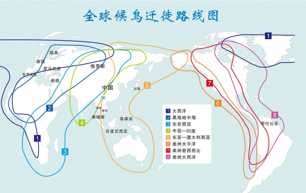 燕子几月份飞回北方