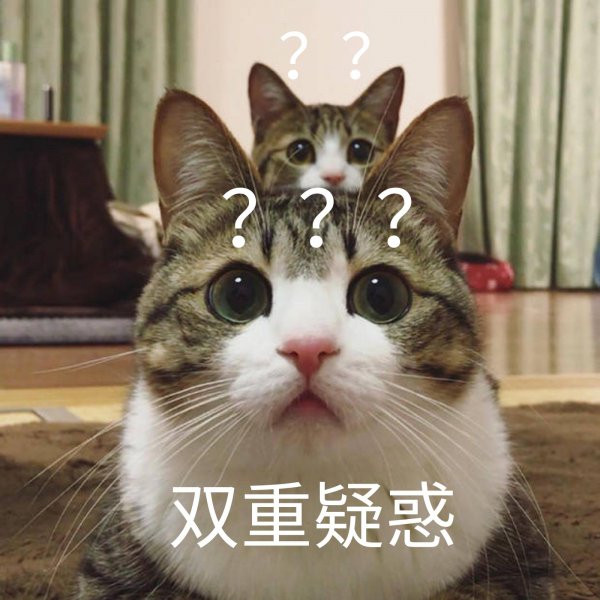 猫喜欢趴在我身上睡觉说明什么