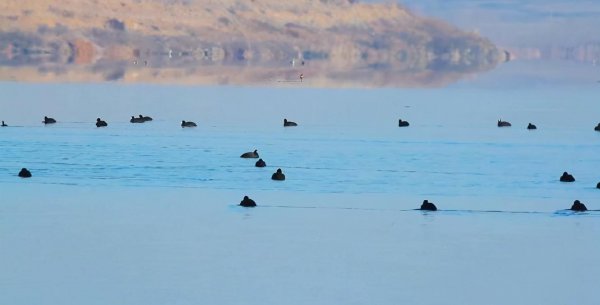 山东水库排名10大水库