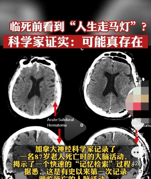 走马灯是什么意思网络用语