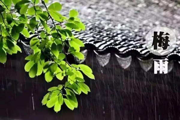 梅雨时节三月春是什么意思