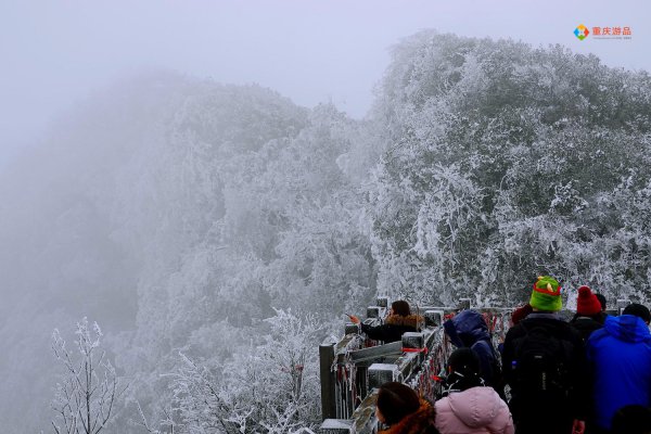 金佛山海拔最高多少米