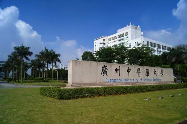 读中医去哪个大学好