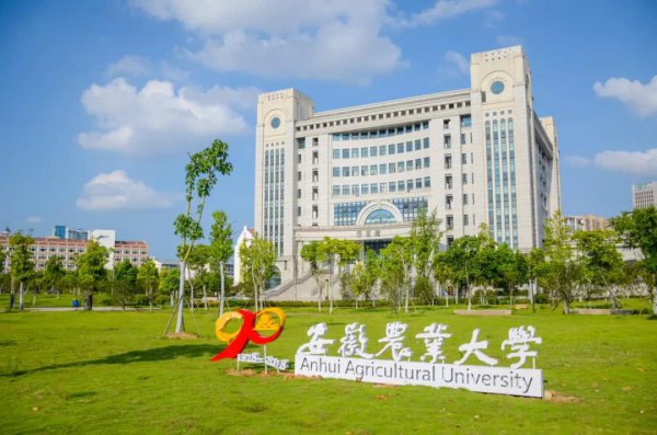 安徽农业大学是几本学校