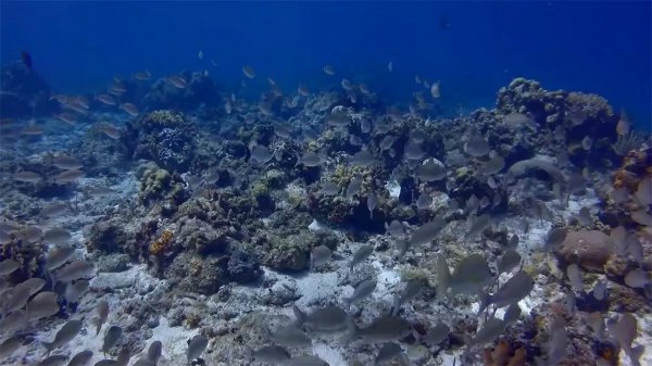 马里亚纳海沟在哪里