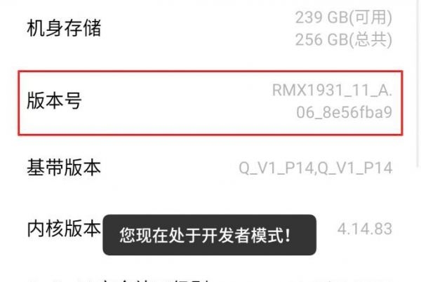手机开发者模式是什么意思