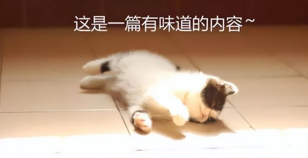 猫砂可以冲进马桶吗