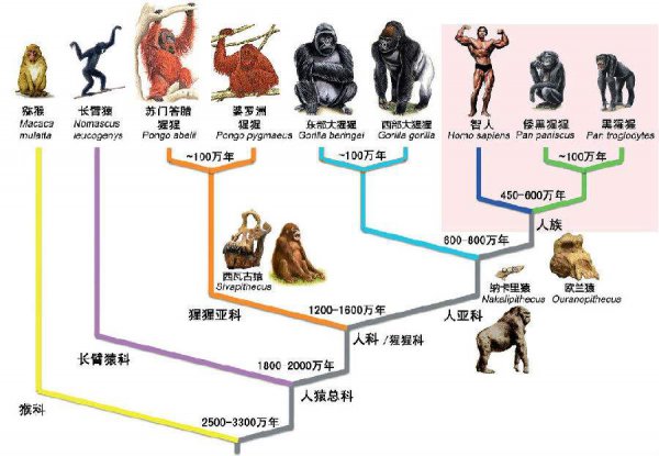 6500万年前恐龙灭绝了吗