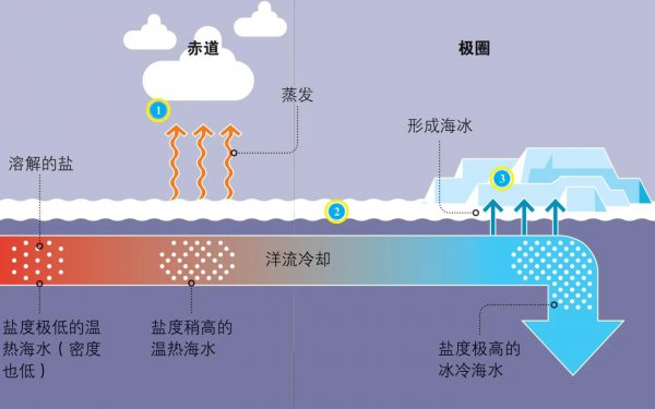 企鹅生活在南极还是北极