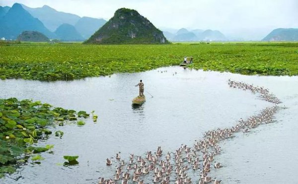 云南普者黑最佳旅游季节