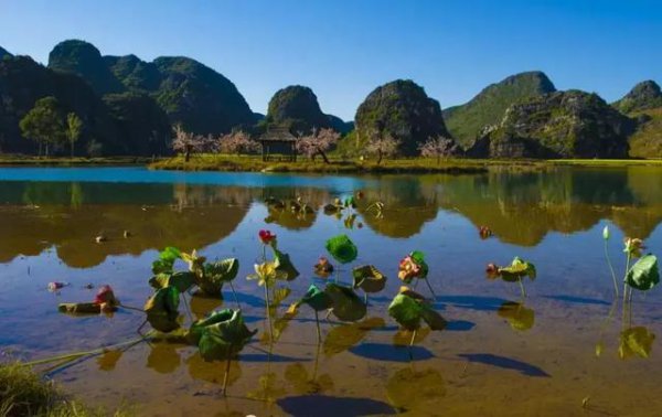 云南普者黑最佳旅游季节