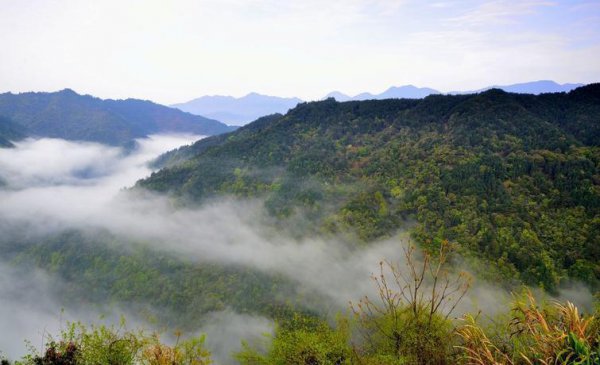 古诗山中王勃诗意全解