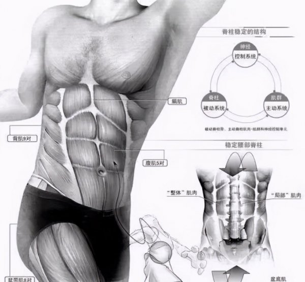 健身常练的核心力量是哪个部位