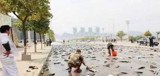 世界上最诡异的雨是什么雨