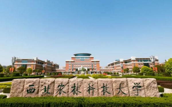 中国985大学排名一览