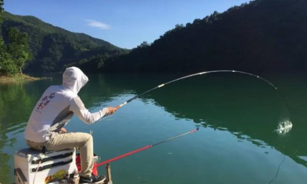 野钓自制鱼饵配方大全