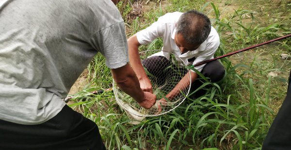 钓鱼的偷驴什么意思