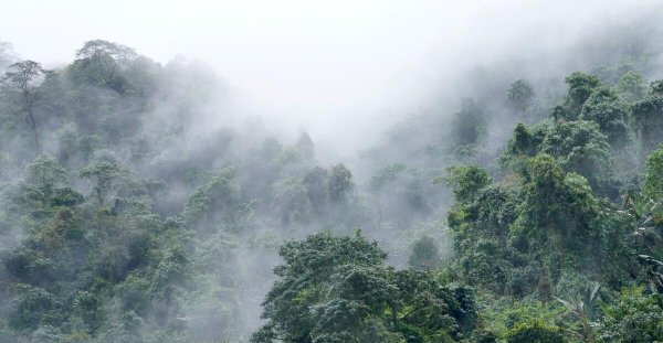 西藏墨脱县海拔多少米高度