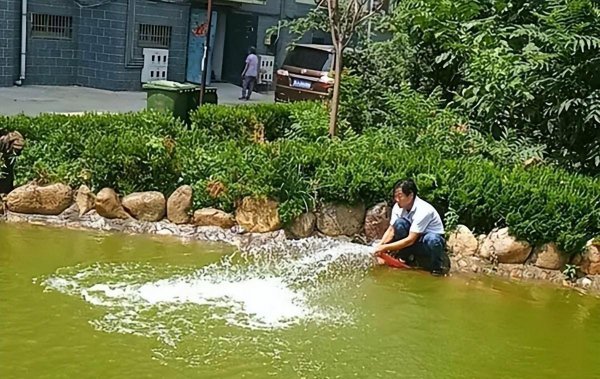 鱼池水浑浊怎么变清