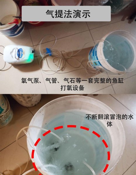 自来水怎么快速除氯技巧