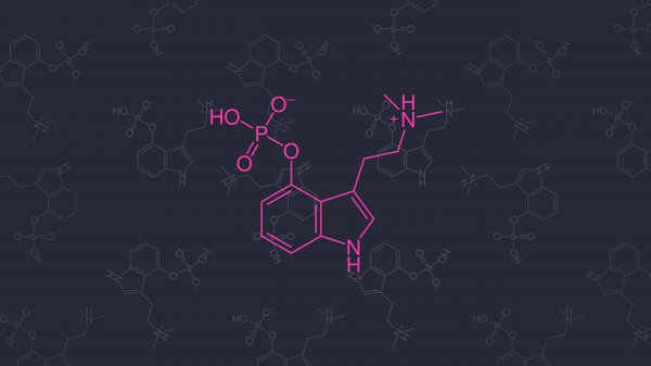 显示器怎么选择更实用