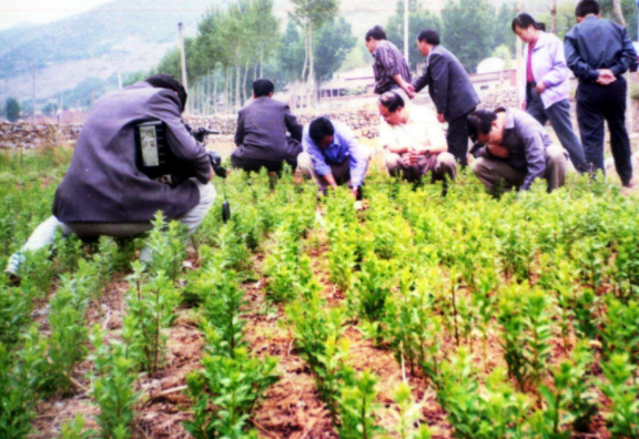 不愁销路的十大紧缺药材