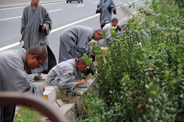 辽宁大悲寺位于哪里