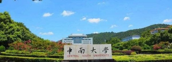 东南大学与中南大学哪个好一点