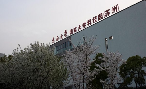 东南大学本部是哪个校区