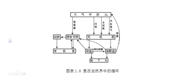 空气中含量最多的元素是什么气体