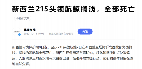 领航鲸搁浅死亡是怎么回事