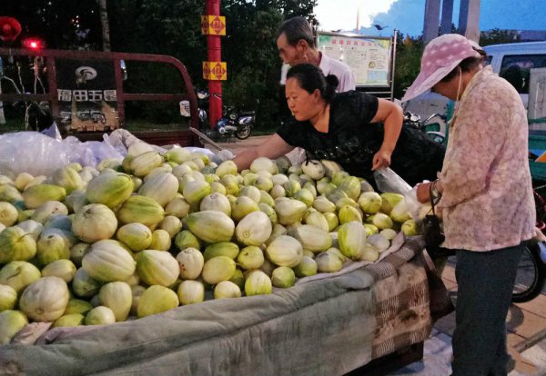 香瓜怎么挑选比较甜的品种